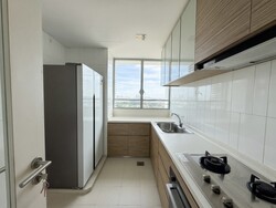 The Chuan (D19), Condominium #589994141